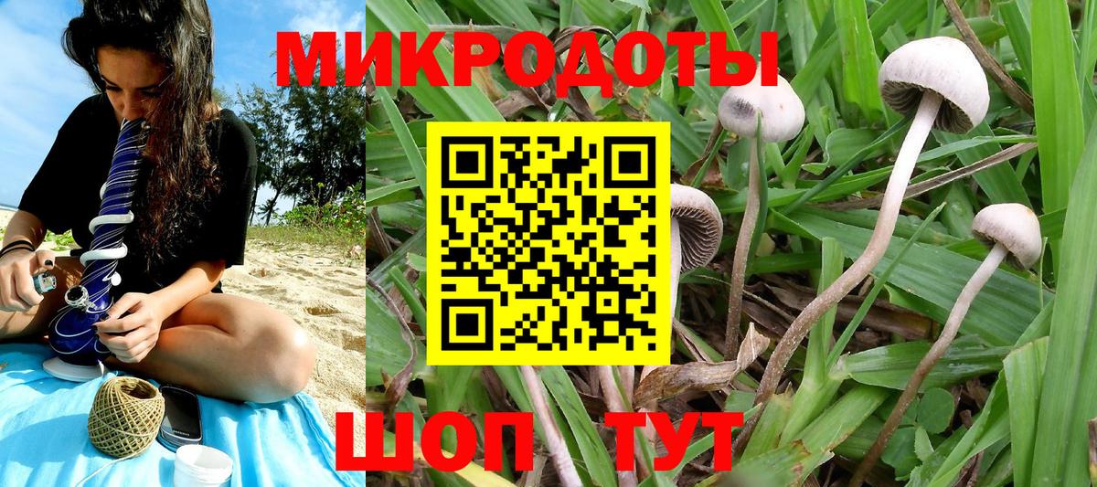 Луга  Галлюциногенные грибы GOLDEN TEACHER  купить наркотики сайты  Вход с VPN 