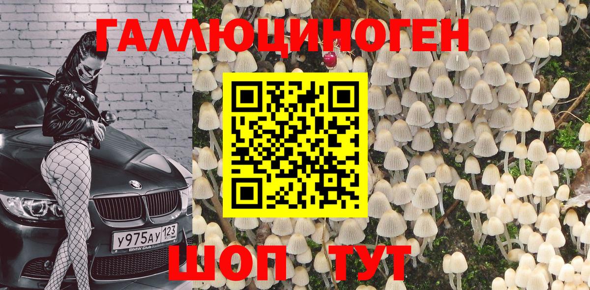 Галлюциногенные грибы мухоморы Луга
